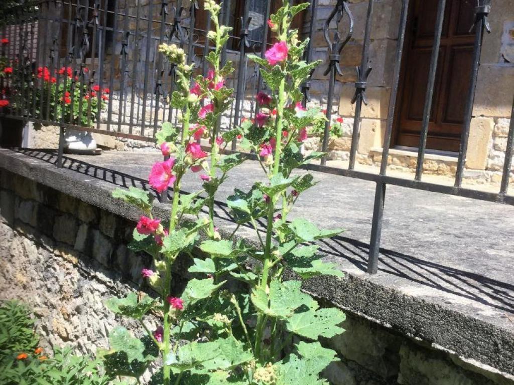 Location Gîtes de France  - Réf : 19G2210
