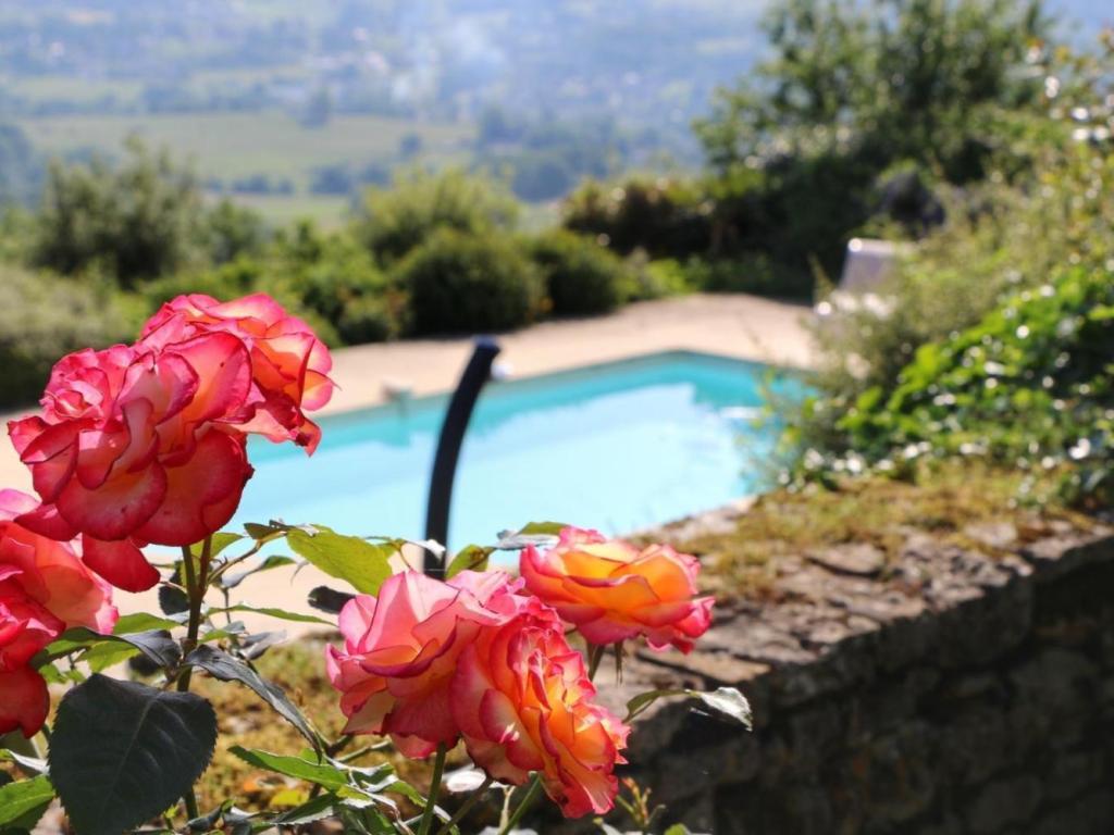 Lescure-Haute