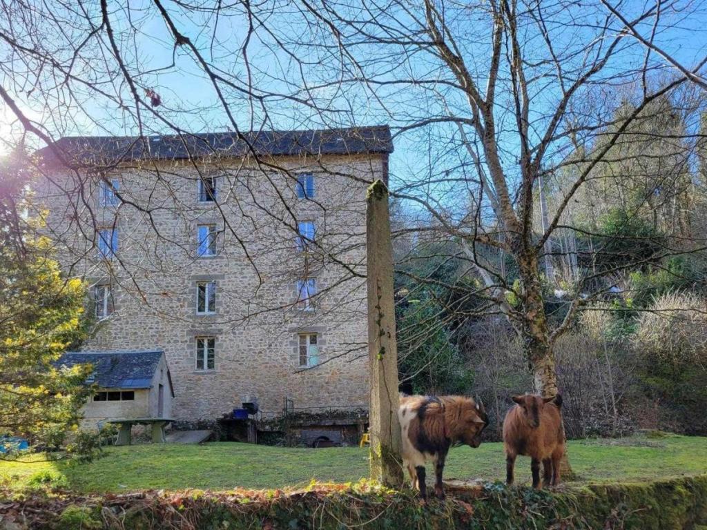 4 Appartements @Moulin SAGE