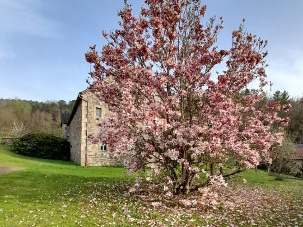 Location Gîtes de France  - Réf : 19G5188