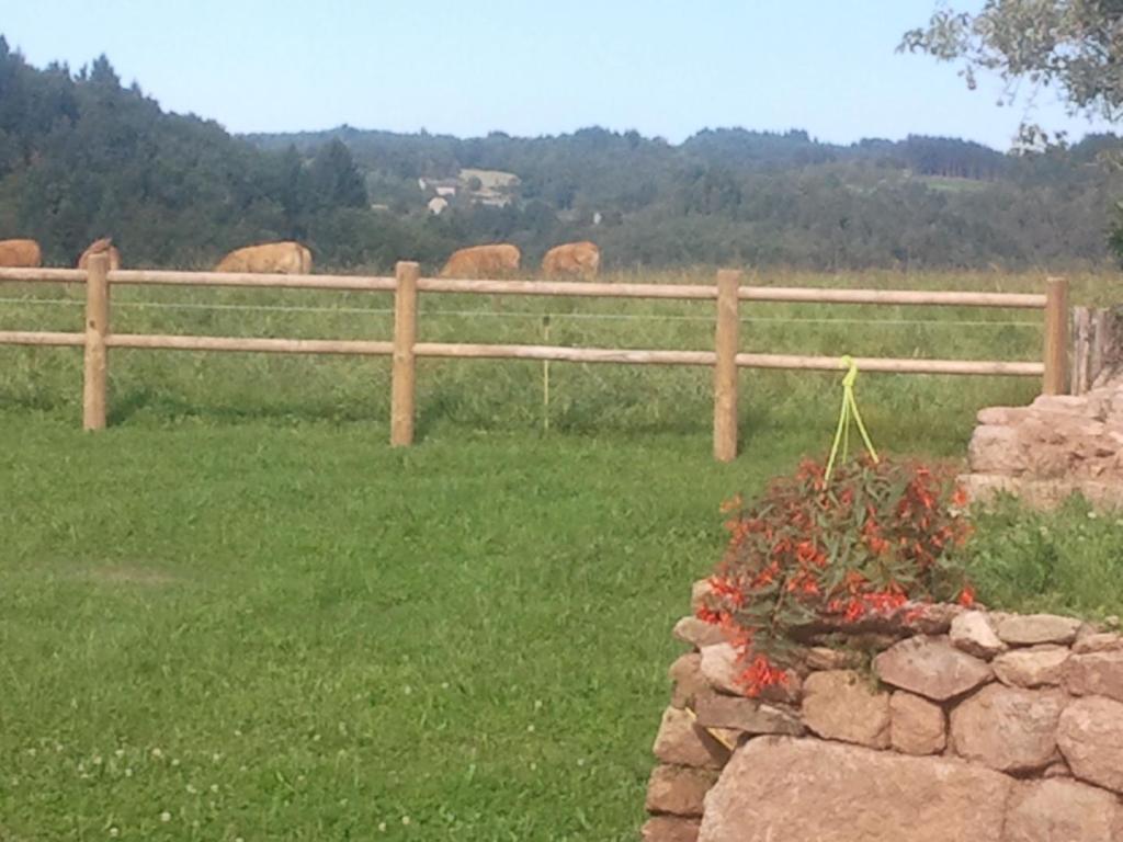 La Chaumière Libellule