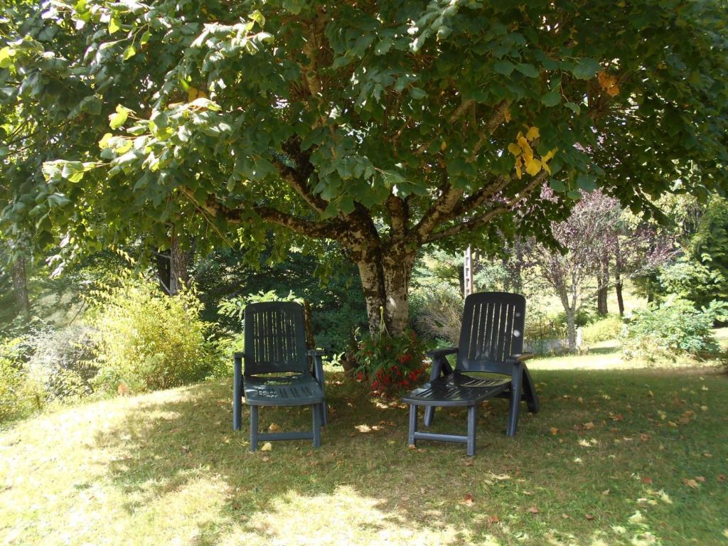 Les Acacias