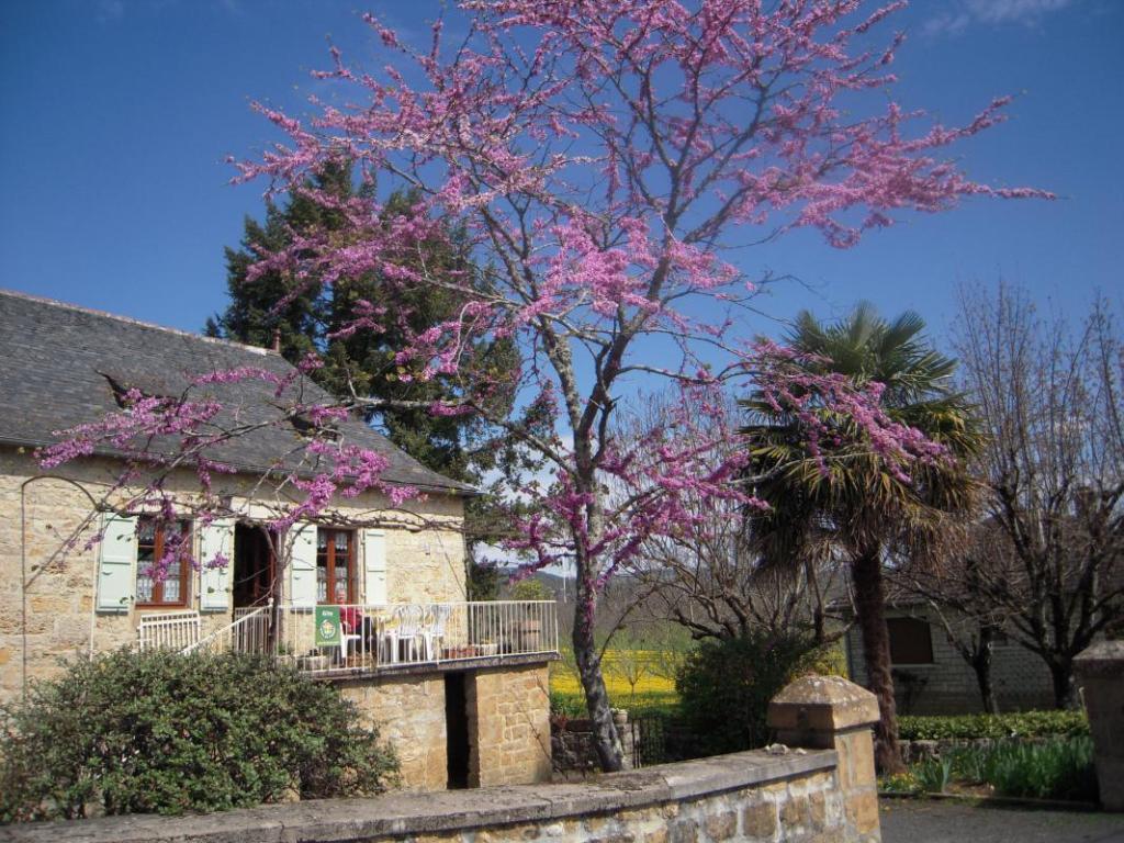 Location Gîtes de France  - Réf : 19G2207