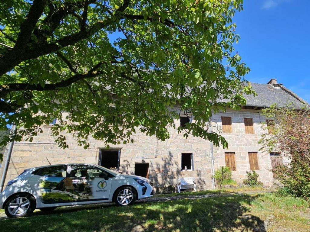 Gîte des alpagas