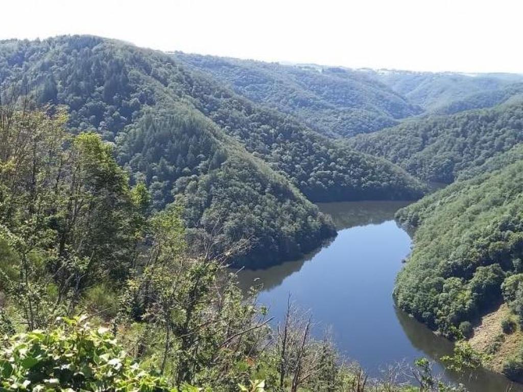 Gratte Bruyère