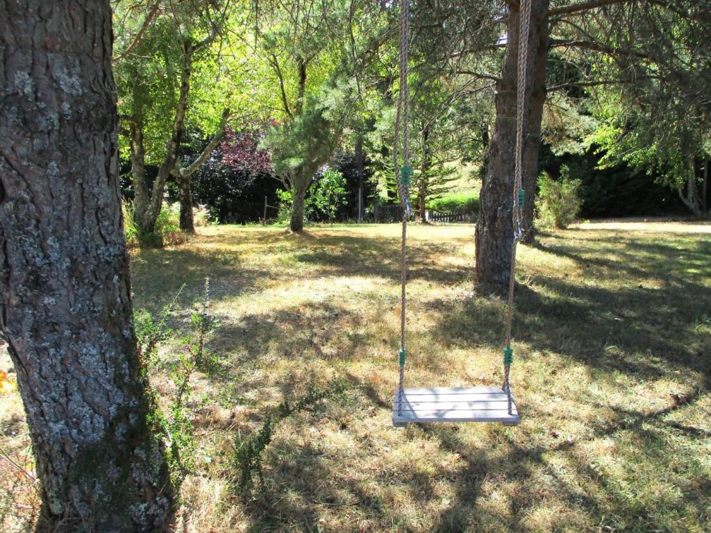 Les Acacias