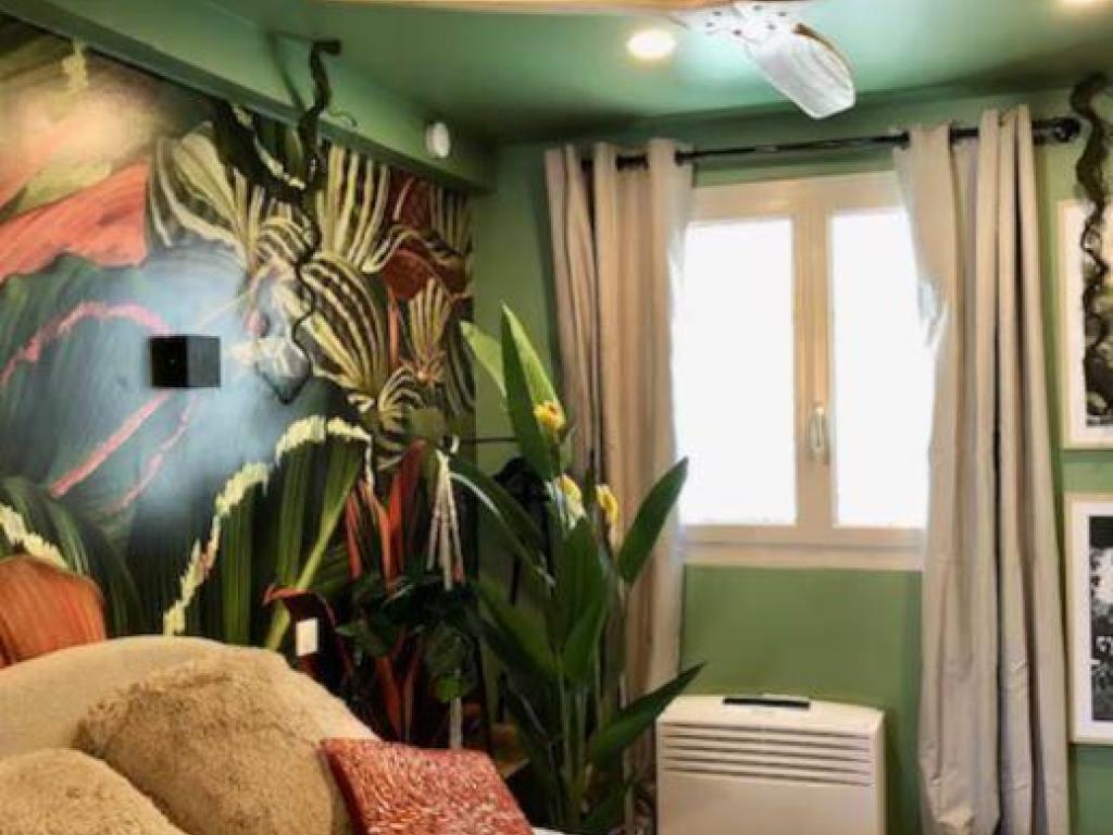 Studio Jungle
