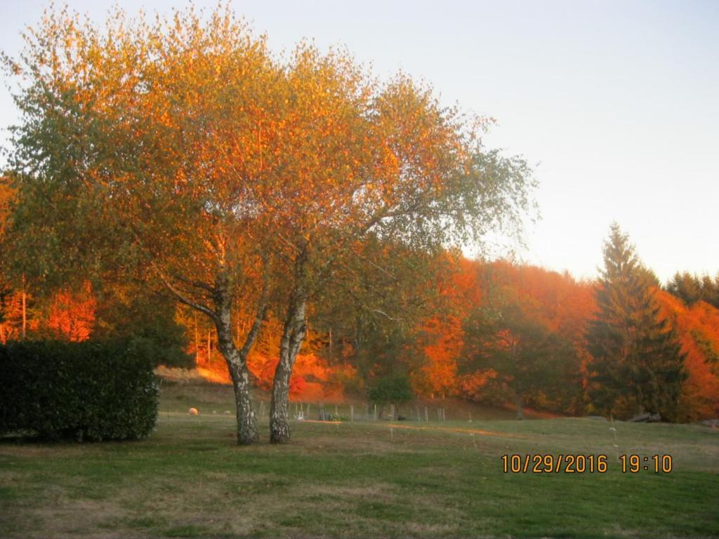 La grange