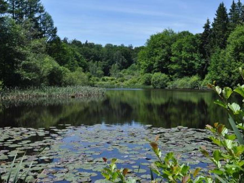 Location Gîtes de France  - Réf : 19G4142