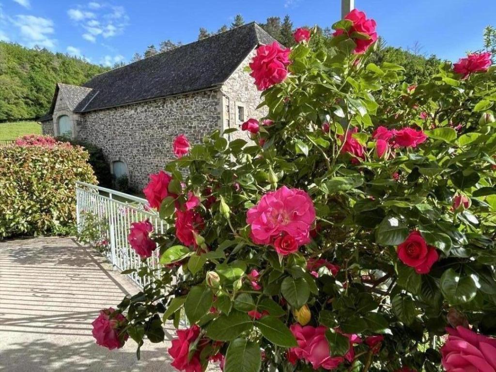 Location Gîtes de France  - Réf : 19G5188