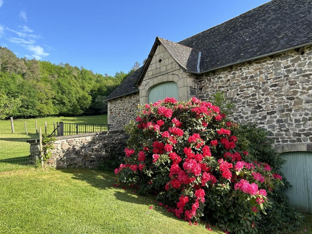 Location Gîtes de France  - Réf : 19G5188
