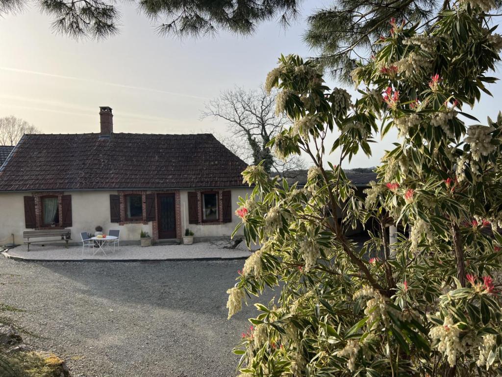 La Petite Maison