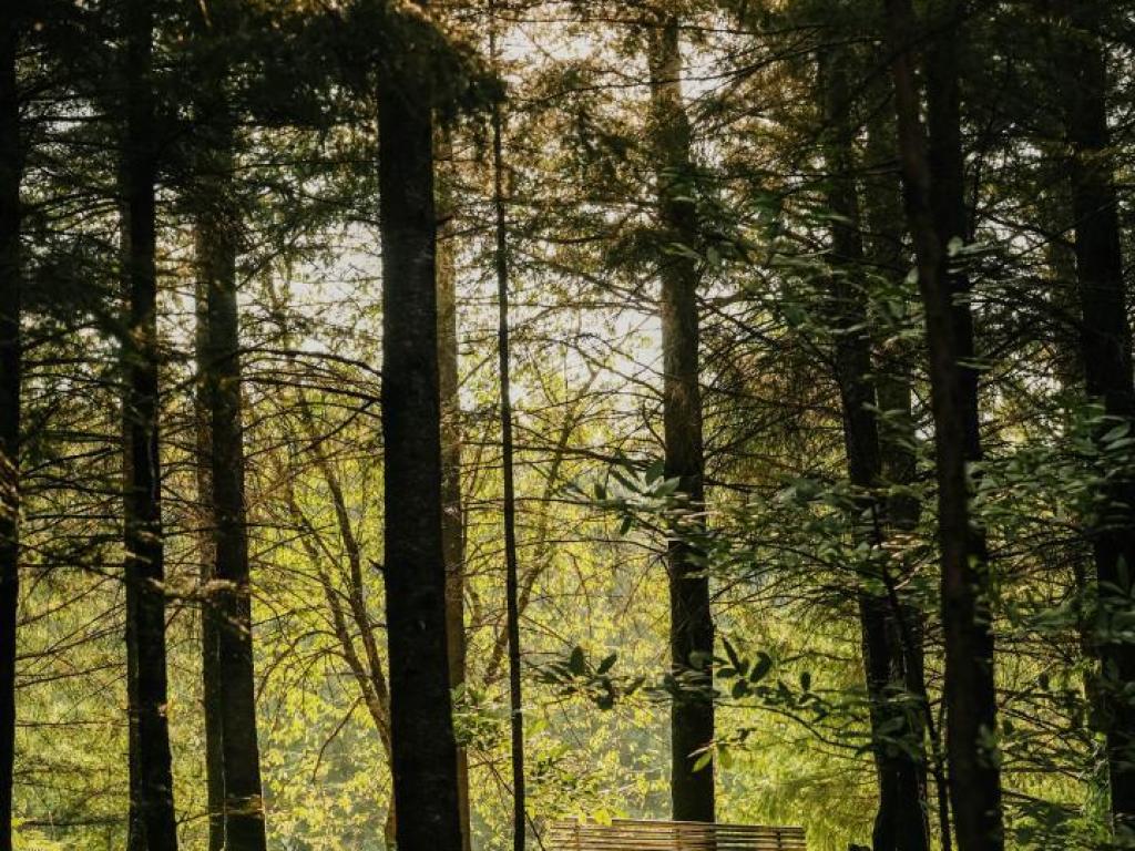 Lodge Spalazen nature Armand