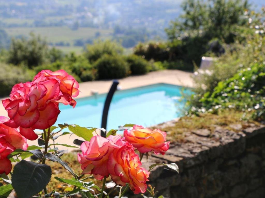 Lescure-Haute