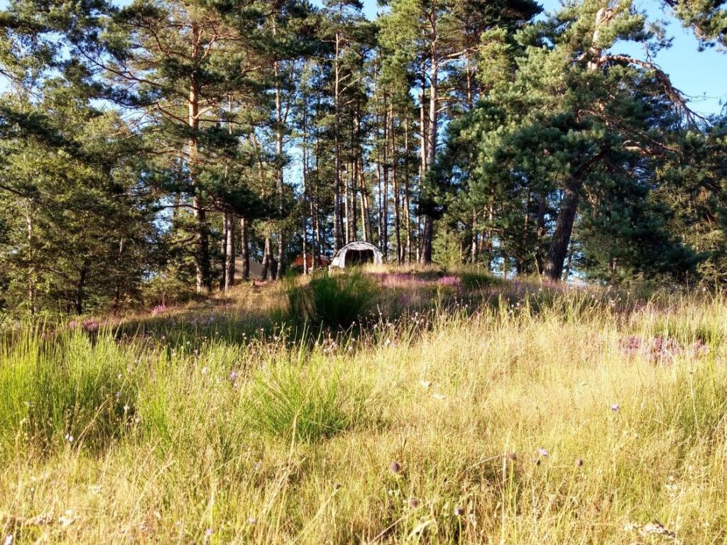 Aire Naturelle Le Moulin de Lacombe