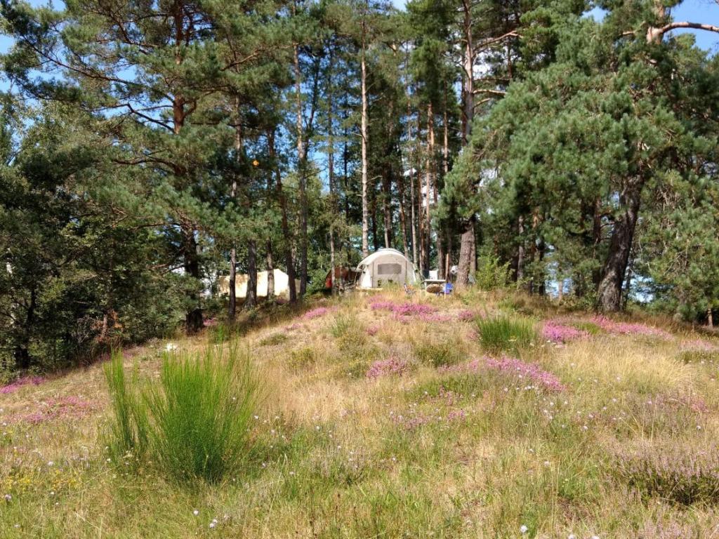 Aire Naturelle Le Moulin de Lacombe