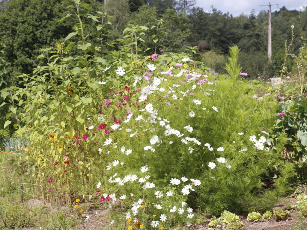 Aire Naturelle Le Moulin de Lacombe