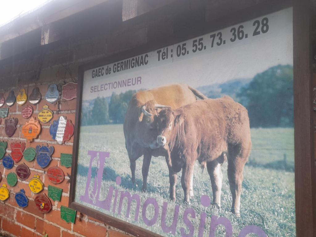 A la découverte de Beyssenac