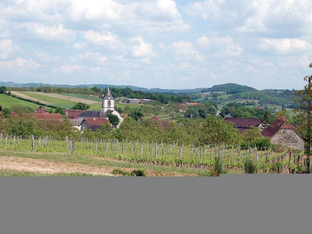 Autour du vignoble
