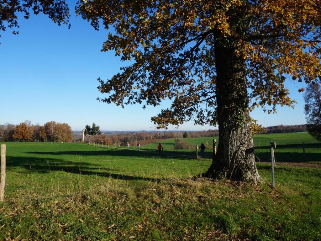 A la découverte de Beyssenac