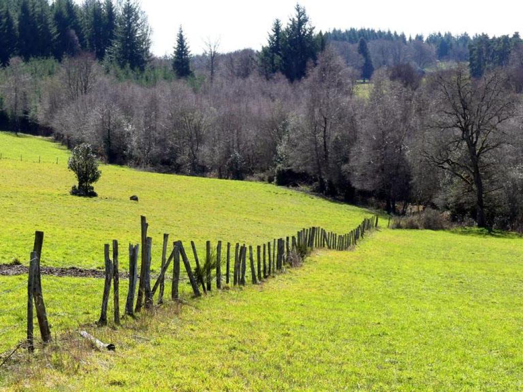 Chemin de la factrice - 17 km