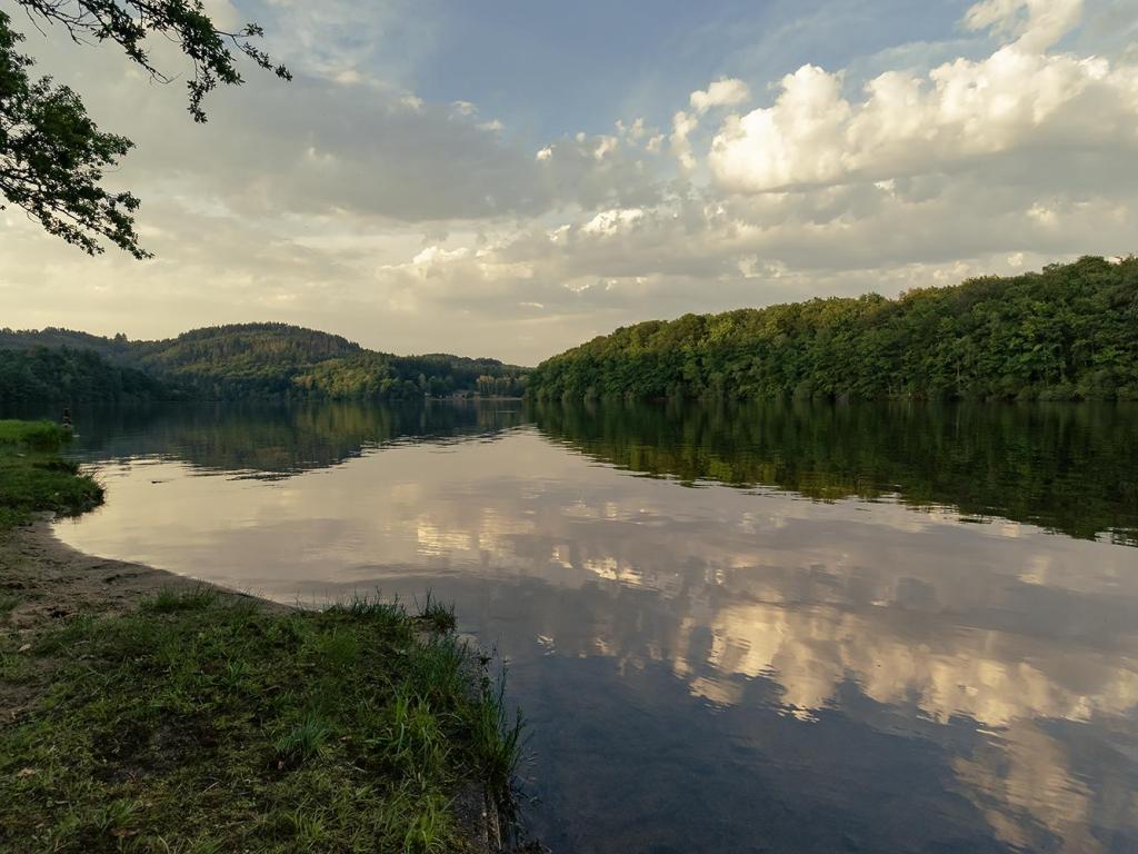 Entre lac et étang