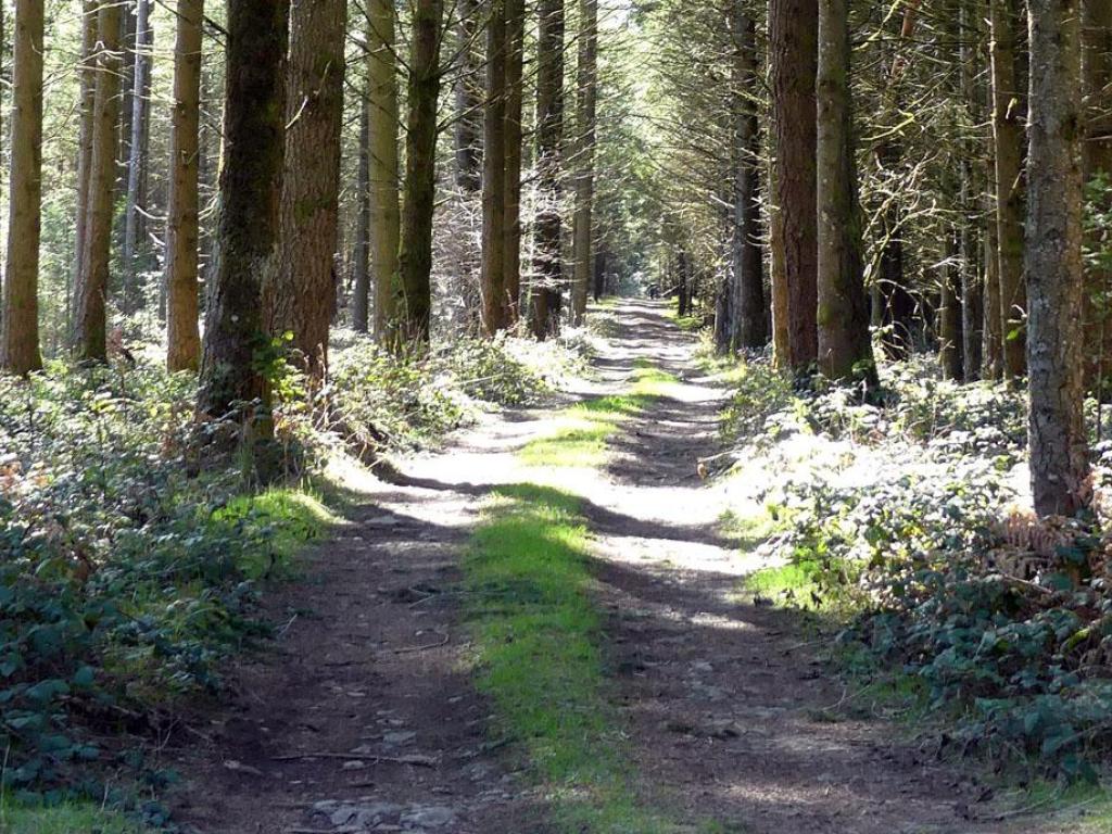 Chemin de la factrice - 17 km