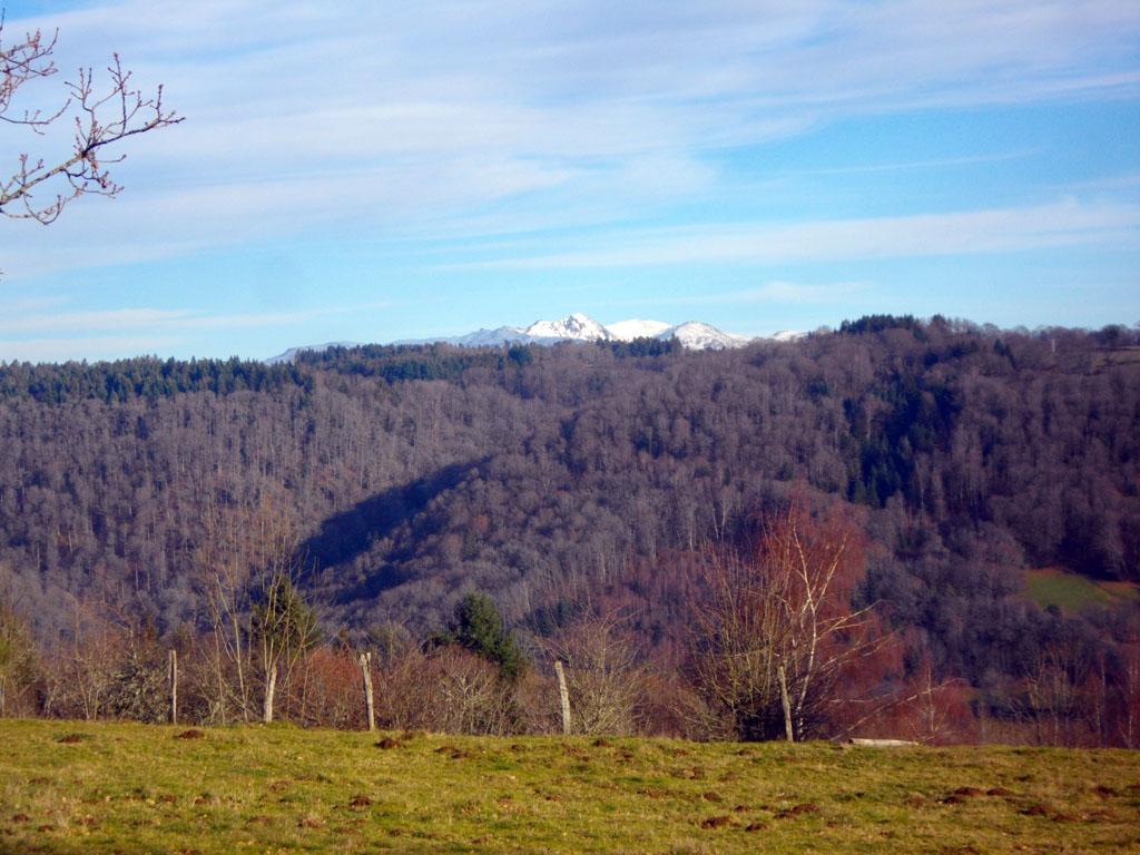 Quand la vie vous sourit - 3,5 km