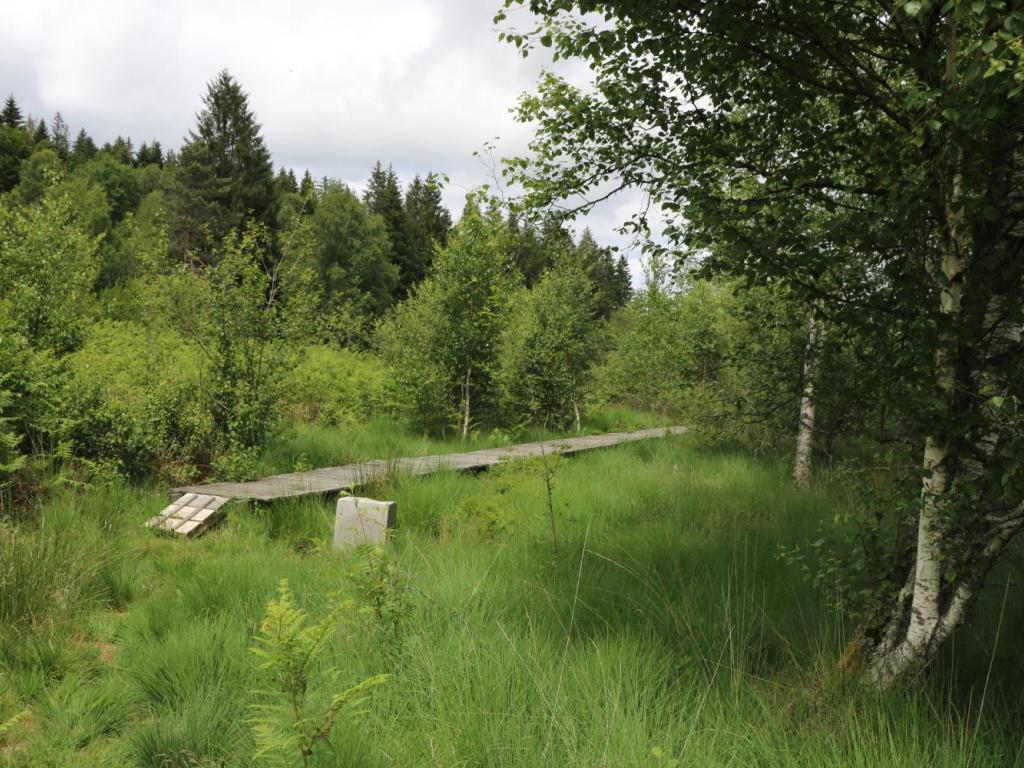 Chemin de découverte de la tourbière de Négarioux-Malsagne - 6 km