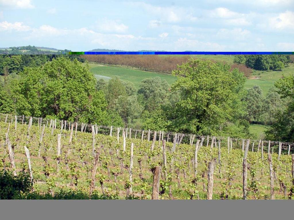 Autour du vignoble