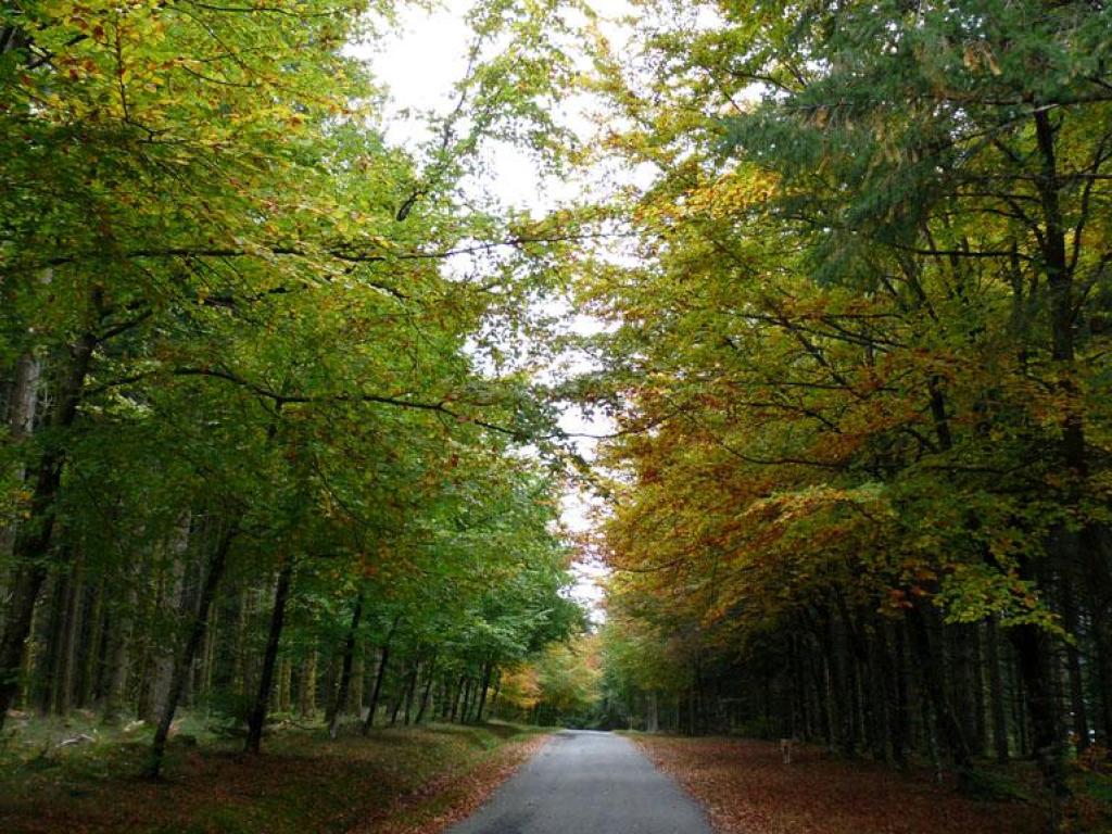 Le toit du Limousin