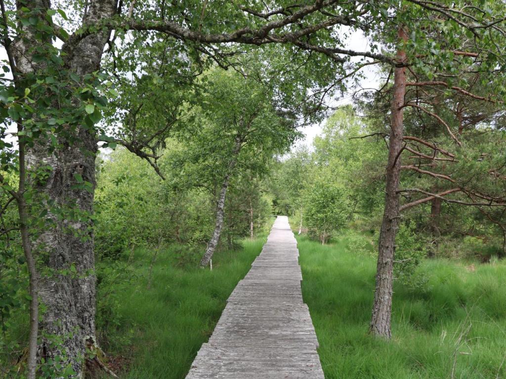 Chemin de découverte de la tourbière de Négarioux-Malsagne - 6 km
