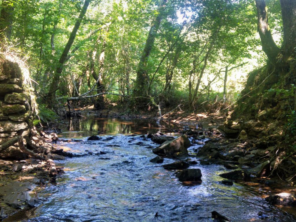 Au-delà de l’eau
