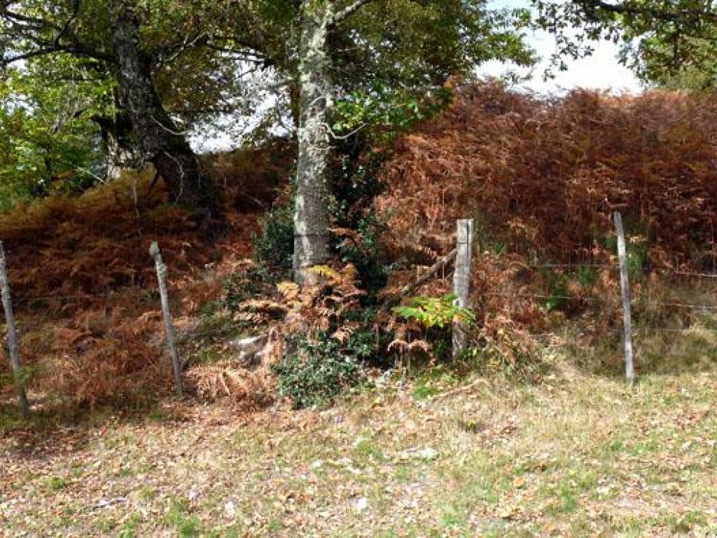 Le toit du Limousin