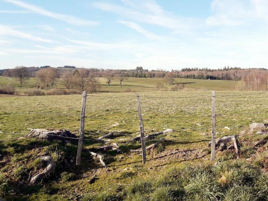 Chemin de la factrice - 17 km