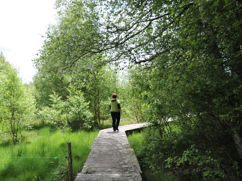 Chemin de découverte de la tourbière de Négarioux-Malsagne - 6 km