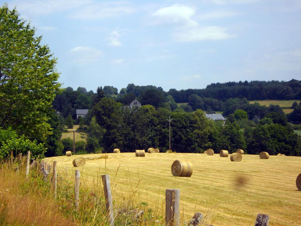 Chemin de campagne - 7 km