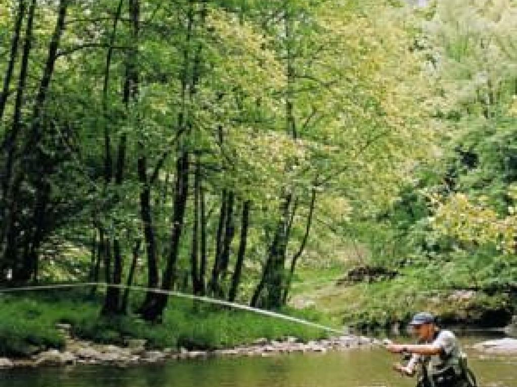 Parcours de graciation de Treignac