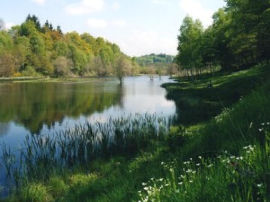 Etang du Portail de Treignac