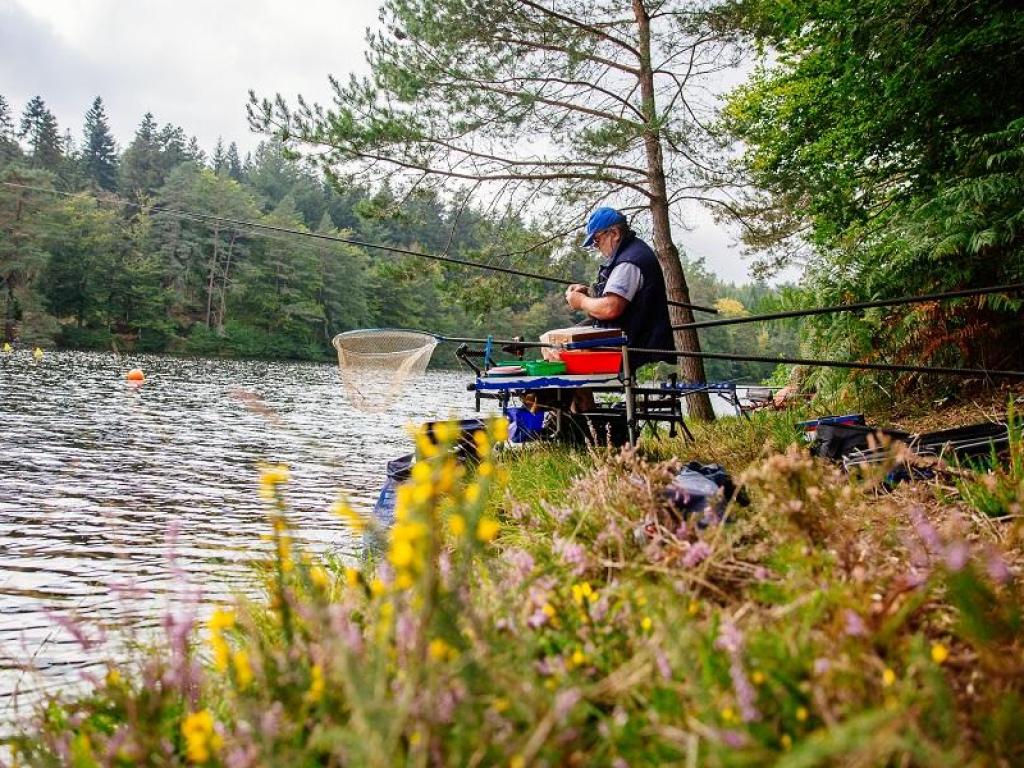 Etang de Laborde