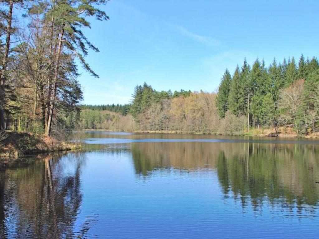 Etang de Laborde