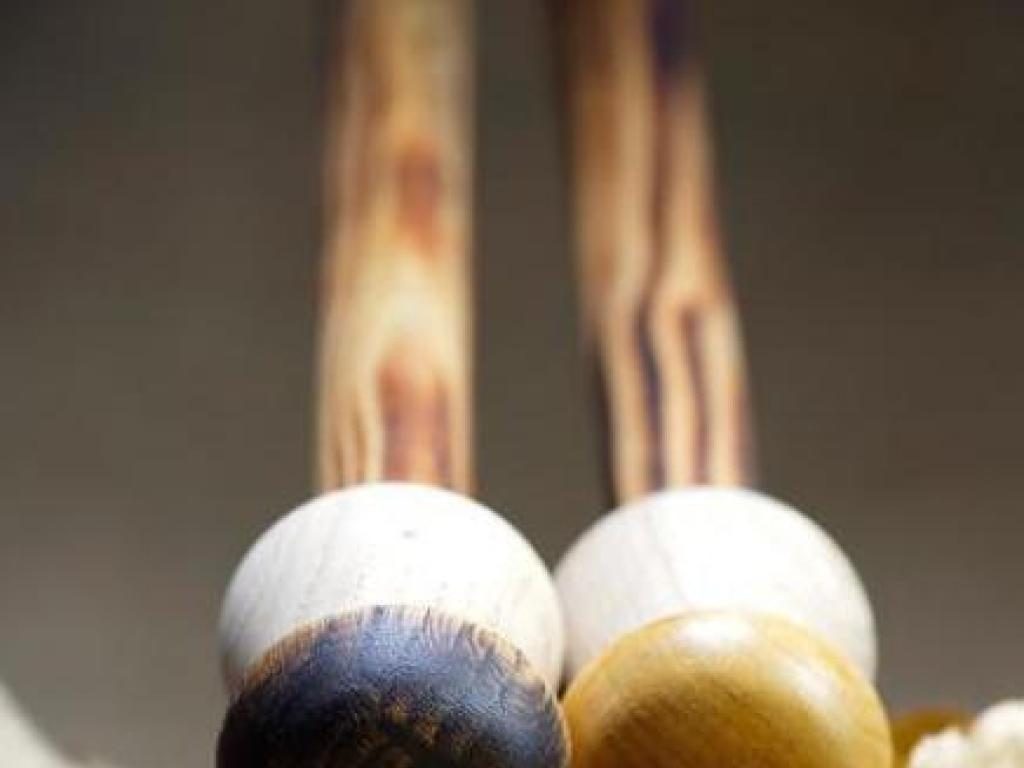 L'univers du champignon