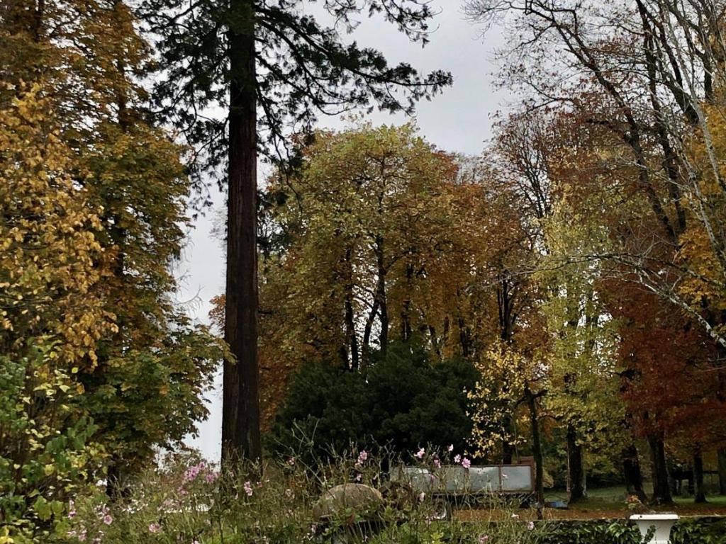Château de Rilhac-Xaintrie