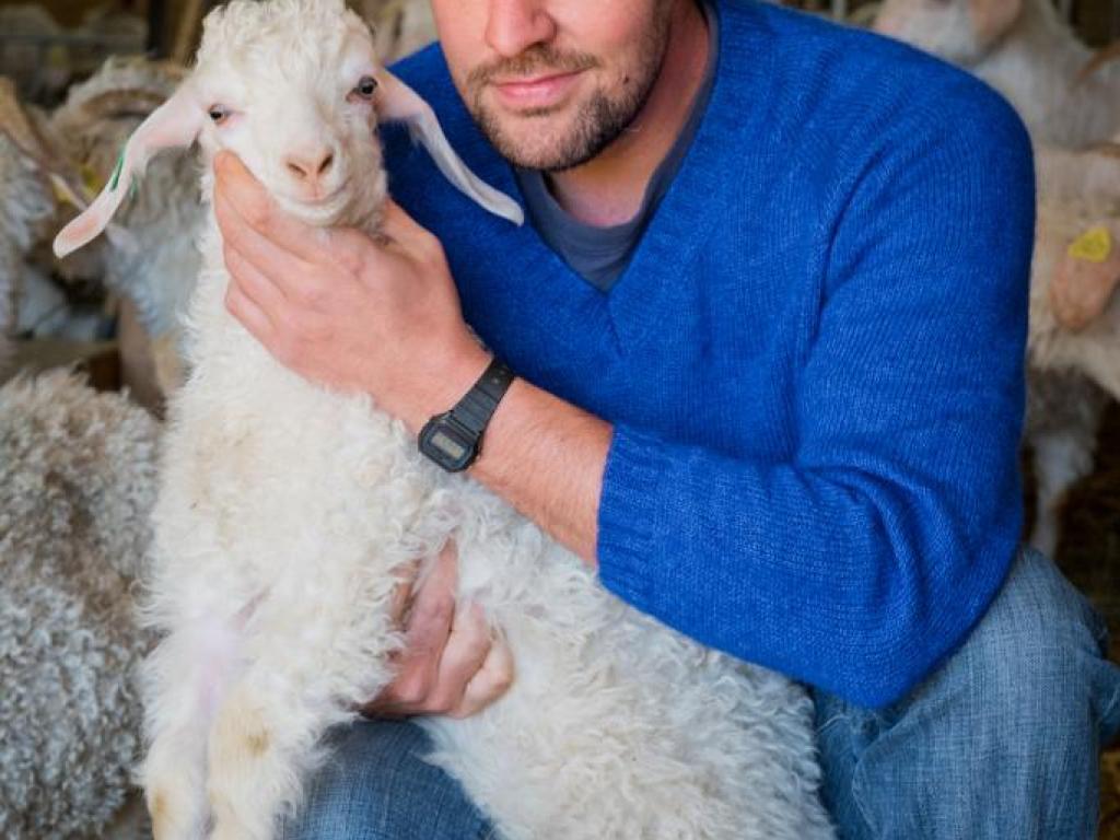 Mohair du Coteau