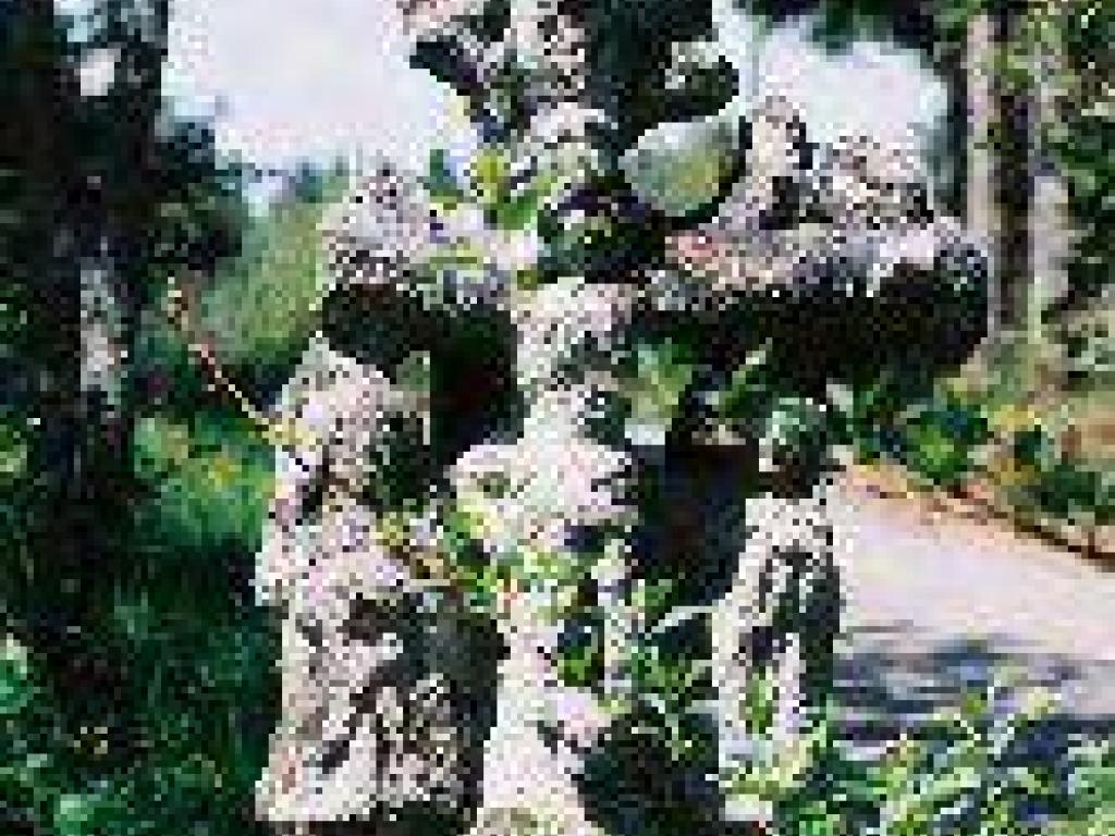 Croix
