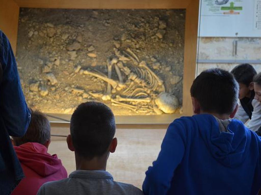 Musée de l'Homme de Neandertal "Jean Bouyssonie"