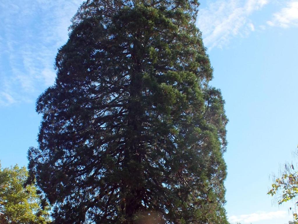 Maison de l'arbre et de la nature