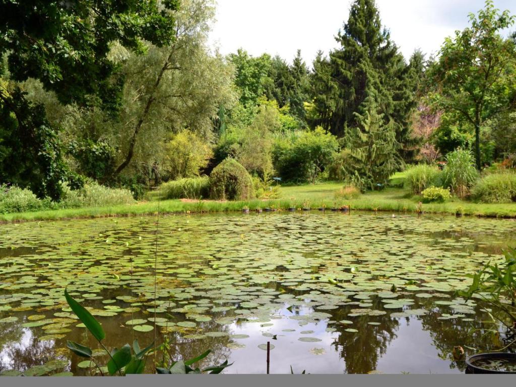 Arboretum Al Gaulhia