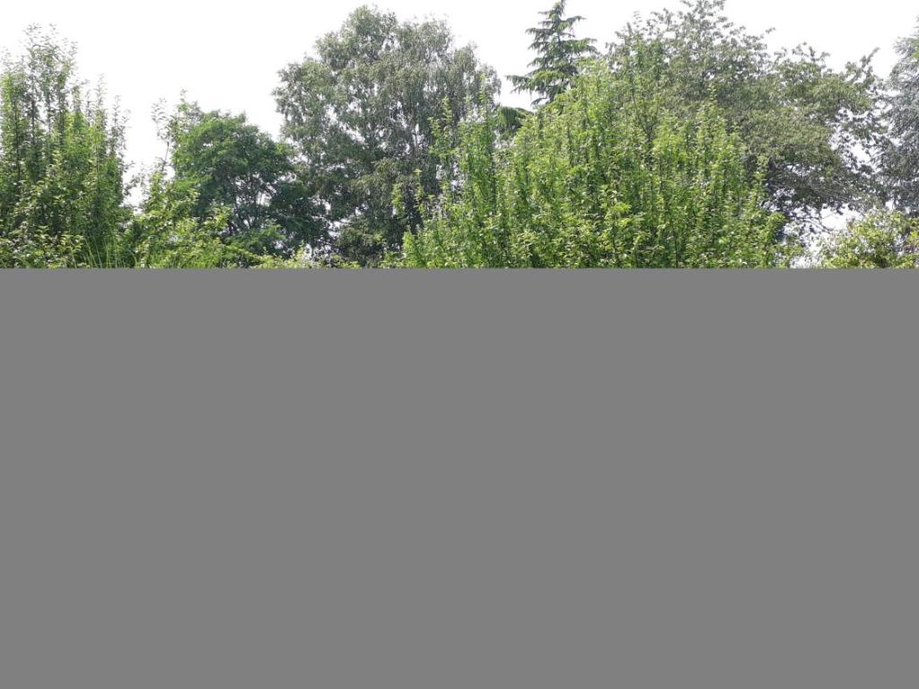 Le Jardin d'Arsac