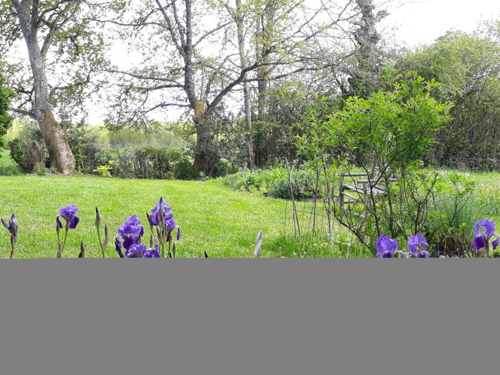Le Jardin d'Arsac